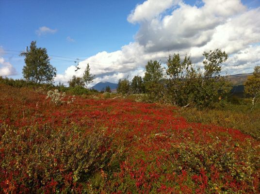Stuga centralt i Ramundberget - Bild 34