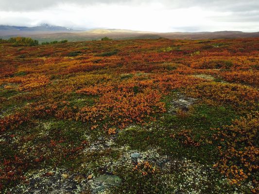 Stuga centralt i Ramundberget - Bild 33