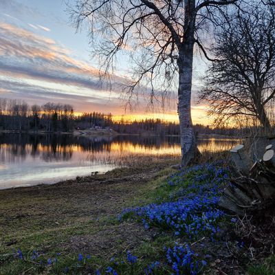 Hus med egen strand och Roddbåt