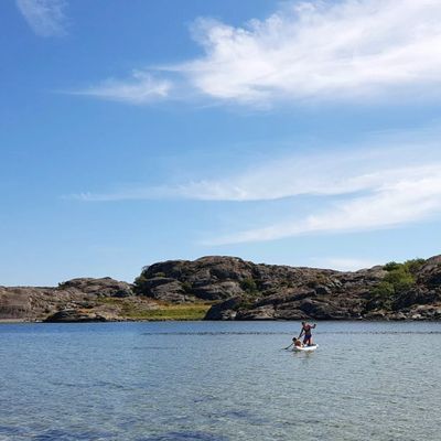 Fint hus nära havet i sommaridyll på Tjörn - Bild 45