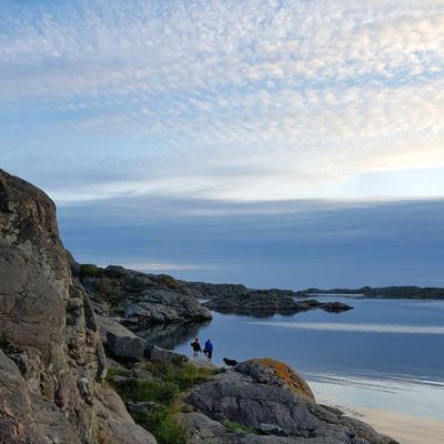 Fint hus nära havet i sommaridyll på Tjörn - Bild 38