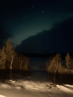 Drömstuga i Marsliden -sjöutsikt, bastu, och kamin - Bild 20