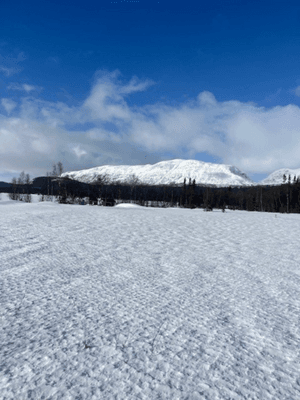 Drömstuga i Marsliden -sjöutsikt, bastu, och kamin - Bild 19