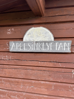 Drömstuga i Marsliden -sjöutsikt, bastu, och kamin - Bild 27