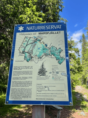 Drömstuga i Marsliden -sjöutsikt, bastu, och kamin - Bild 24