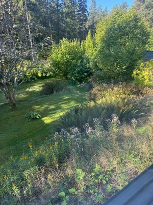 Sommarstuga nära badbrygga Vaxholm Rindö Stockholm - Bild 44