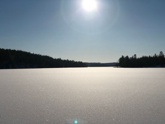 Semesterhuset vid Älgsjön "Stora älg" - Bild 6