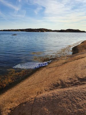 Hus vid havet - Bild 7