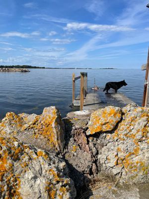 Stuga Öland Havsutsikt - Bild 24