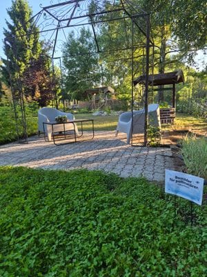 Sjönära avkoppling intill skogsbrynet - Bild 23
