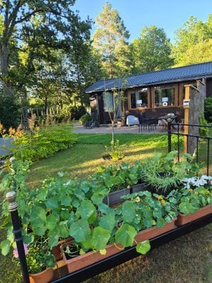Sjönära avkoppling intill skogsbrynet