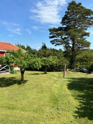 Mysig stuga i Bohuslän - Bild 11