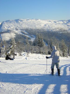 Stuga i mysiga Bydalens Fjällby 100m från skidlift - Bild 17