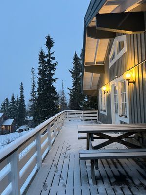 Mysig stuga i Höglekardalen - Bydalsfjällen - Bild 17