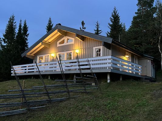 Mysig stuga i Höglekardalen - Bydalsfjällen - Bild 19