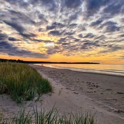 Boende 8 bäddar  Tofta Strand Gotland - Bild 20