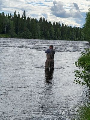 Mysigt fjällhus i Jämtland - Bild 27