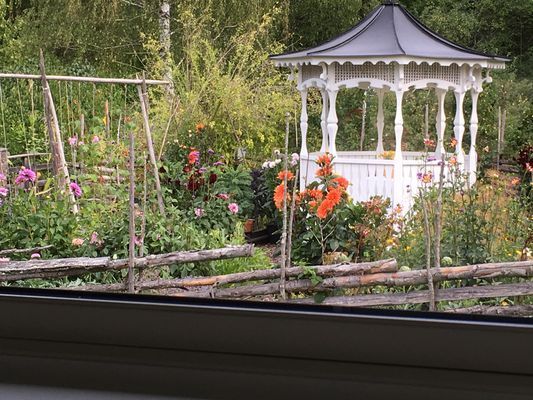 Trädgärden sedd från sovrumsfönster