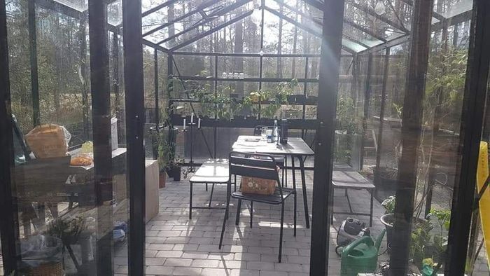 Timmerstuga med bastu m relax och växthus - Bild 28