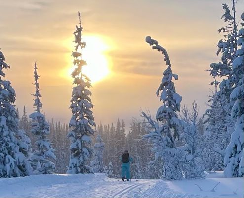Fjällstuga i Edsåsdalen, Åre - Bild 11