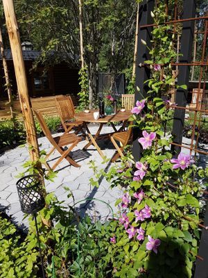 Timmerstuga med bastu m relax och växthus - Bild 8