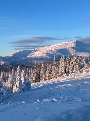 Åre Björnen -Rymlig lägenhet med ski in/ski out! - Bild 15
