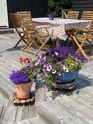 Havsnära mysigt hus i Roslagen - Bild 8