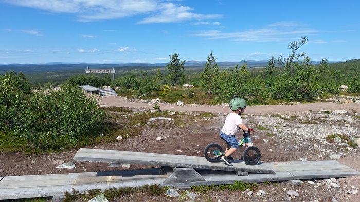 Lofsdalen 8 bädd, 150m till längd- & cykelleder - Bild 19