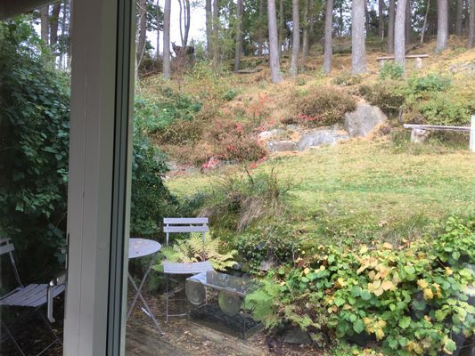 Bild 3 på Litet hus nära Sandsjöbacka naturreservat
