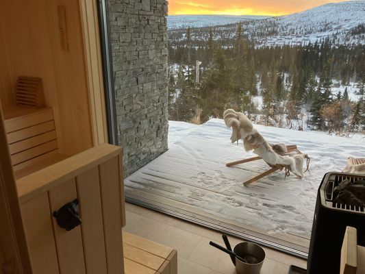 Fint fjällhus med magisk utsikt på Vemdalsskalet - Bild 8