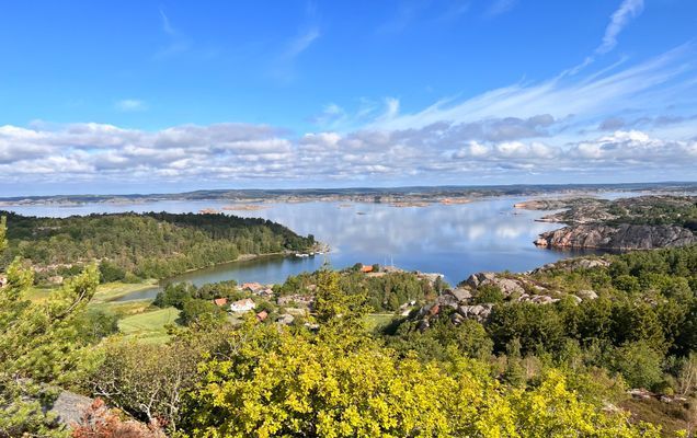 Överblick över området