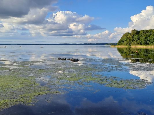 Västra Ringsjön ,200 meter från huset med mindre badstrand mm