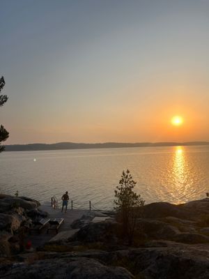 Båtburen skärgårdsidyll nära Stockholm - Bild 8