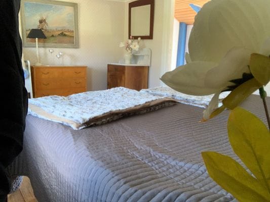 Bild 3 på Stuga Alby - södra Öland