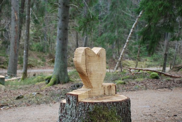 Mysig sjönära stuga intill naturreservat - Bild 41