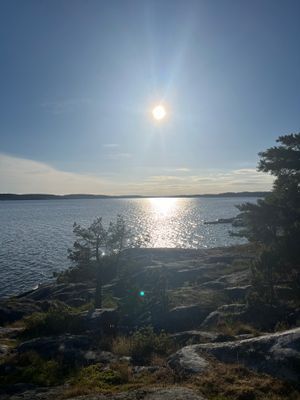 Båtburen skärgårdsidyll nära Stockholm - Bild 7