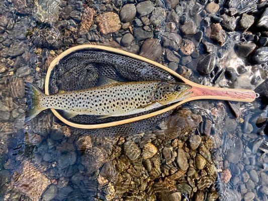 Välutrustad stuga i Fjällhalsen, Bydalen - Bild 21