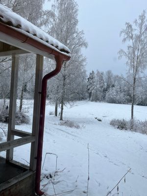 Ostörd idyll på gammal mindre gård