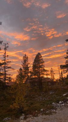 Mysig stuga i lugnare område, närhet till backar - Bild 23