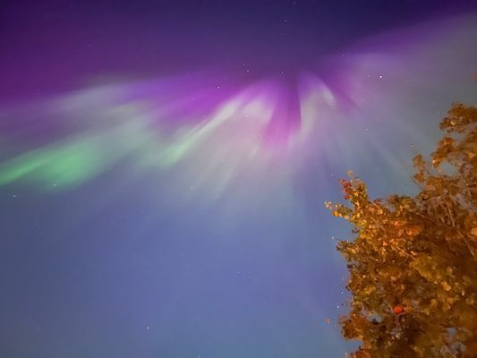 Mysig stuga i lugnare område, närhet till backar - Bild 24