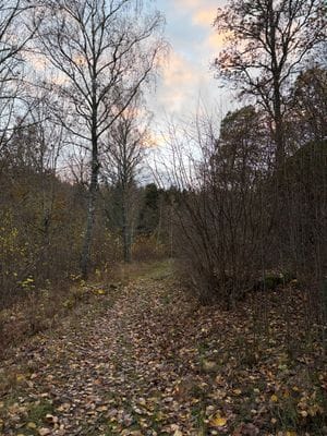Stort hus med bastu, båt, brygga och sjöutsikt! - Bild 26