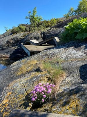 Strandhus på Gullholmen/Härmanö - Bild 18