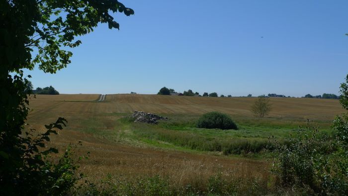 Charmig stuga nära naturen Ystad och stranden - Bild 19