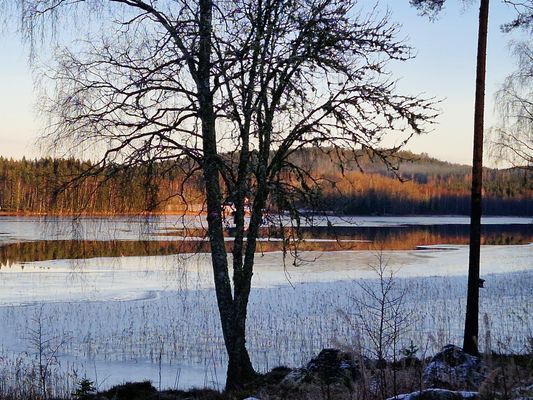 Nackeloftet - en mysig timmerstuga i Dalsland - Bild 31