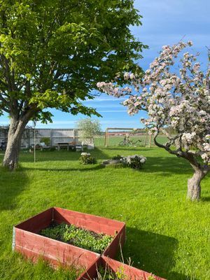 Fridfull idyll med utsikt över hav och natur - Bild 19