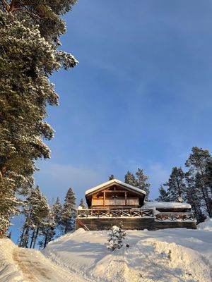 Mysig timmerstuga med magisk utsikt