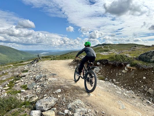 Lägenhet i nybyggd fjällstuga - Bild 28