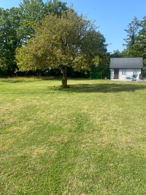 Cykelavstånd till allt - bo i hjärtat av Burgsvik - Bild 18