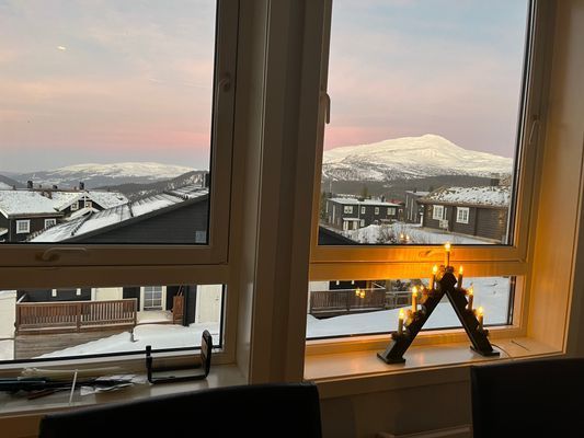 Skutan i vinterskrud en decemberdag