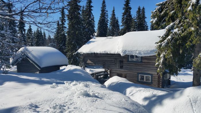 Tandådalen vecka 8 och 9.
